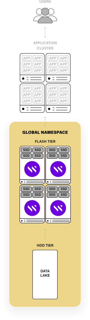 Global