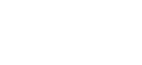 NSG Logo White