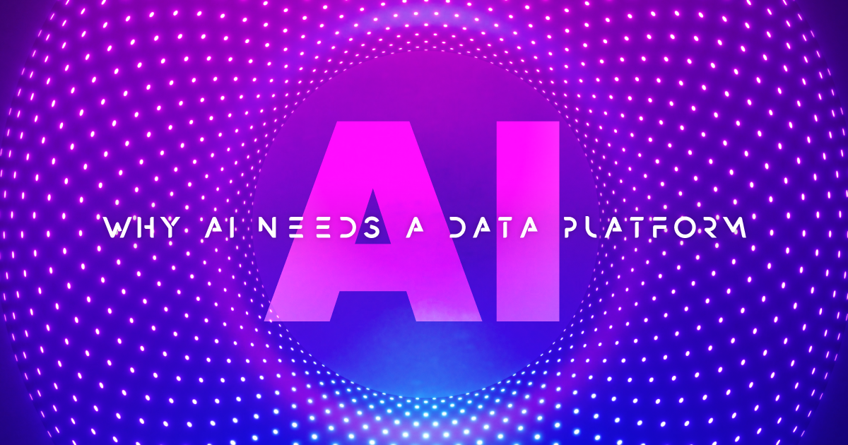 Why AI Needs a Data Platform