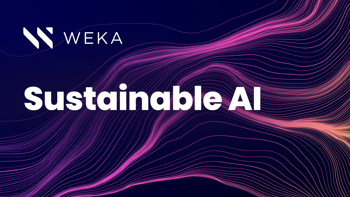 Solving the AI Sustainability Conundrum