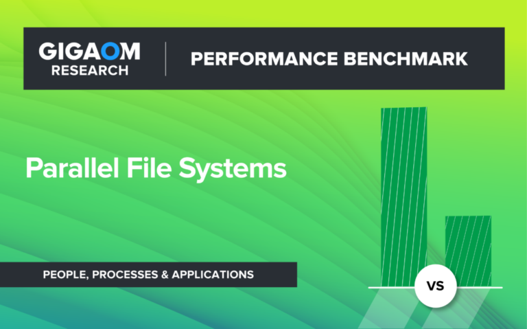 Cloud Parallel File Systems