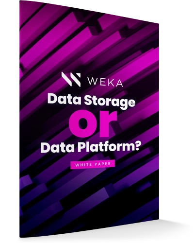 Data Storage or Data Platform?