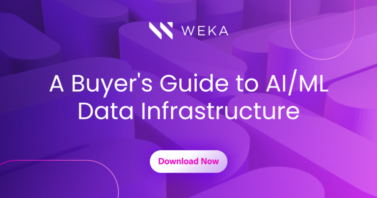 Buyer’s Guide to AI/ML Data Infrastructure