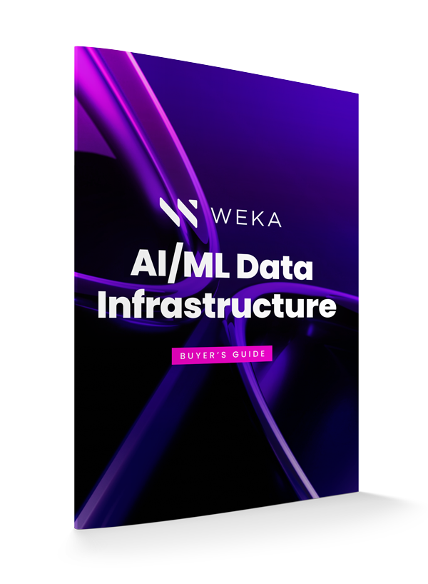 Buyer’s Guide to AI/ML Data Infrastructure