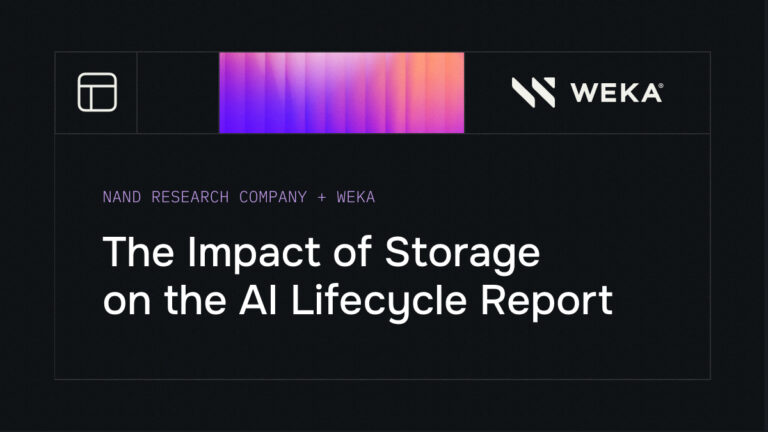 The Impact of Storage on the AI Lifecycle