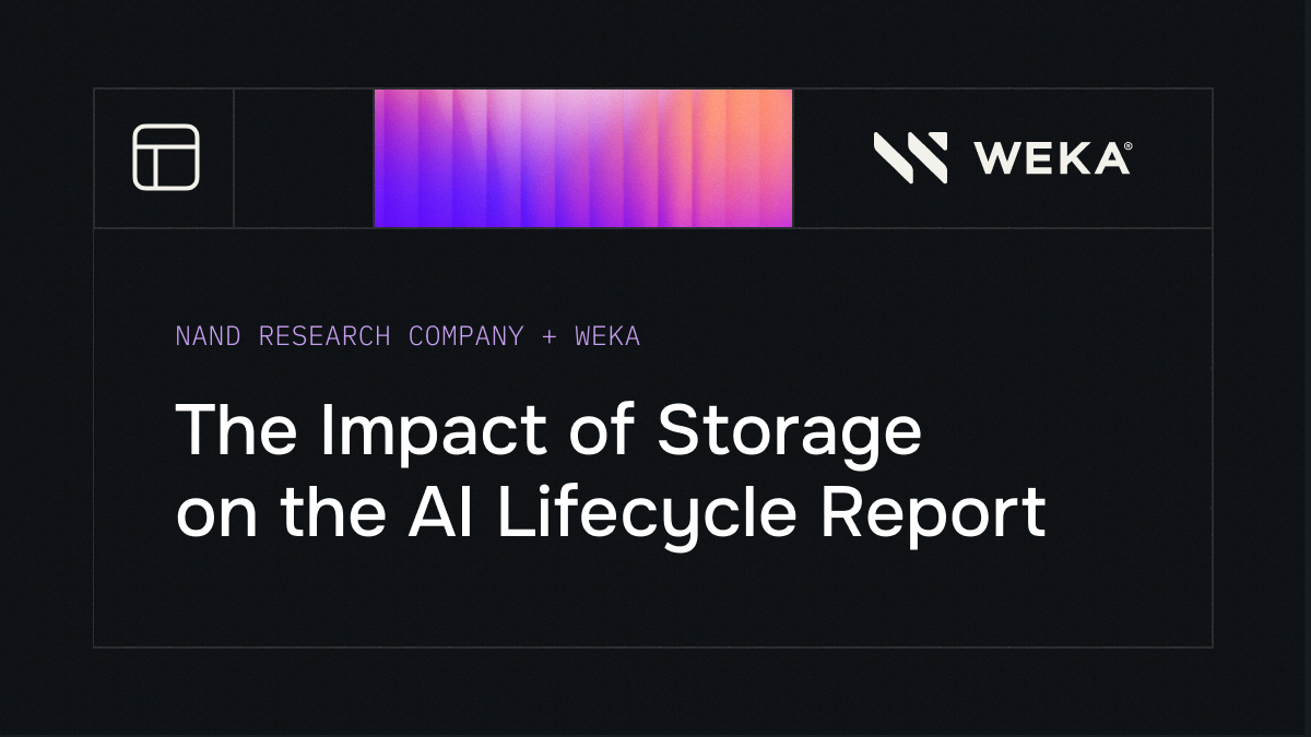 The Impact of Storage on the AI Lifecycle