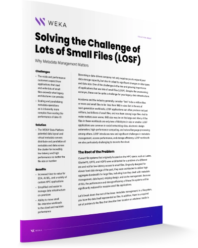 Solving the Challenge of Lots of Small Files (LOSF)