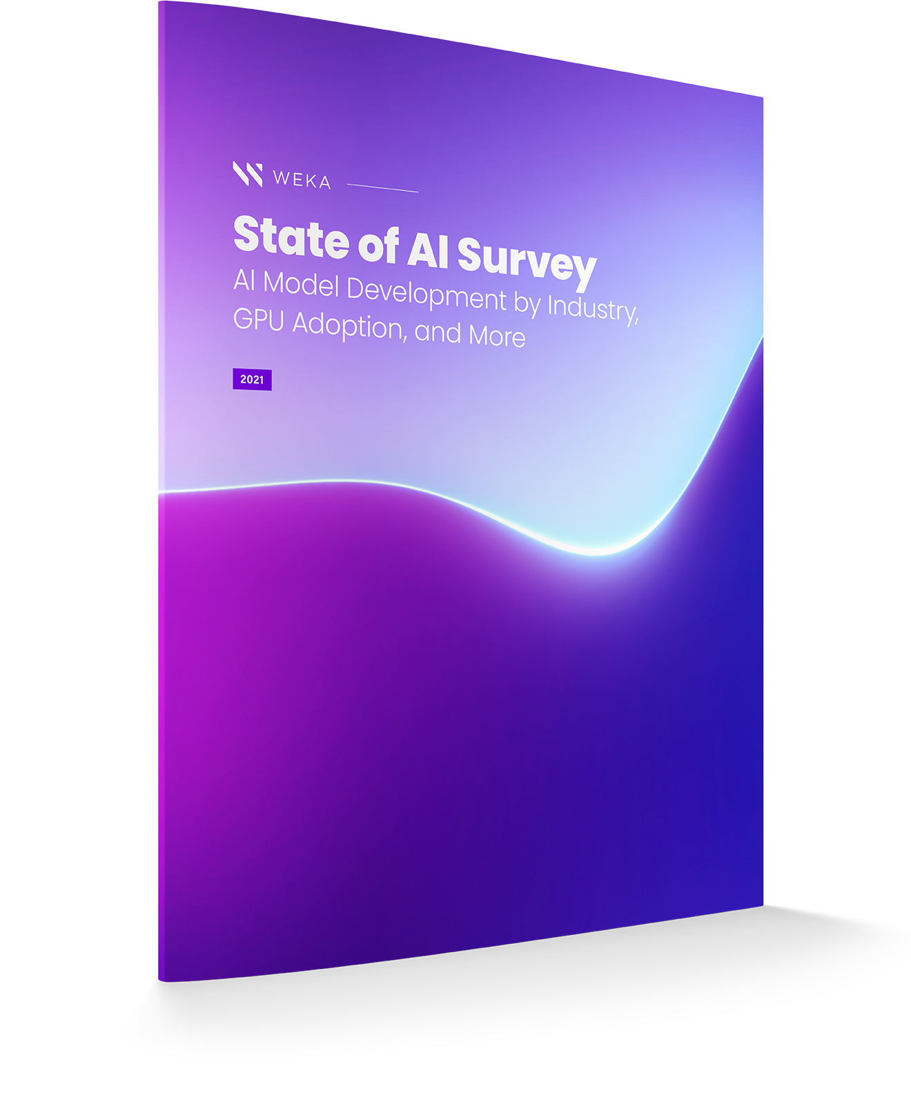 The State of AI and Analytics Infrastructure 2021