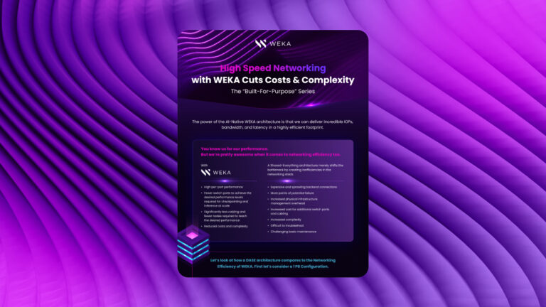 High Speed Networking with WEKA Cuts Costs & Complexity